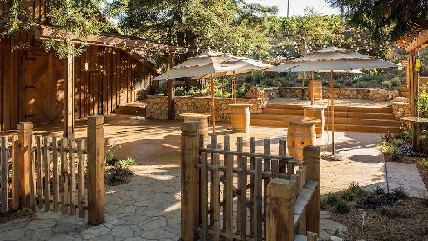 Ridge Vineyards – Monte Bello - Image 2